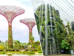 Combo: Gardens by the Bay - Cloud Forest + Flower Dome